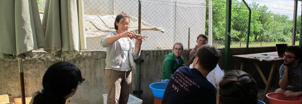 An in-person demonstration in archaeology